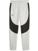 Puma Sporthose "Hoops Team Dime Pant" in Grau