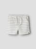 name it Shorts in Coconut Milk