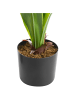 Beliani Kunstpflanze DRACAENA TREE in Grün - (W) 85 x (H) 150 x (L) 85 cm