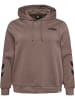 Hummel Hoodie Hmllegacy Regular Hoodie Plus in IRON