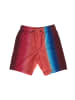 GAP Shorts in Multicolored