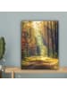 MuchoWow Leinwand Bilder Waldpfad