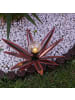 MARELIDA LED Solar Gartenstecker Blume Seerose H: 39cm in rot