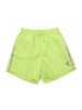 adidas Laufshorts D4R in Grün