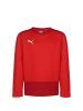 Puma Sweatshirt TeamGOAL 23 in rot / dunkelrot