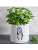Mr. & Mrs. Panda XL Blumentopf Pinguin Lolli ohne Spruch in Weiß