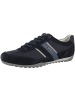 Geox Sneaker low U Wells C in dunkelblau