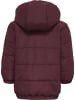 Hummel Hummel Jacke Hmlvibe Jungen Wasserdichter Und Windabweisend in WINDSOR WINE