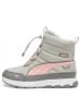 Puma Shoes Stiefel Evolve Boot Puretex in Grau