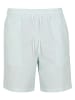 Urban Classics Short in frostmint