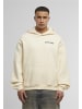 Mister Tee Mister Tee Theory Of Anomaly Fluffy Hoody in whitesand