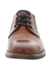 Bugatti Schnürschuhe in braun