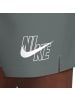 Nike Badeshorts 5" Volley Shorts in Grau