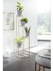 FineBuy Vase in Gold / Metall / 37x37x108