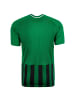 Nike Performance Fußballtrikot Striped Division III in grün / schwarz