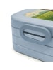 Mr. & Mrs. Panda Bento Box Pinguin Lolli Design ohne Spruch in Blau Pastell