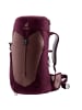 Deuter Rucksack AC Lite 22 SL in Beere