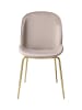 Qiyano Stuhl Yakari 2er-Set in Creme