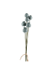 Fink Kunstblume Mohnkapsel grau - (H) 67 cm