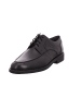 Sioux Schnürschuhe in schwarz