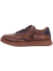 Bugatti Sneaker Low in braun