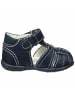 Primigi Lauflernschuhe für Jungen in dunkel-blau