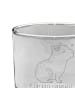 Mr. & Mrs. Panda Whiskey Glas Capybara Blume mit Spruch in Transparent