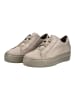 Paul Green Sneaker in Taupe
