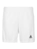 adidas Performance Funktionsshorts Team 19 Knitted in weiß