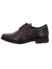 LLOYD Business Schnürschuh in schwarz