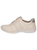Caprice Sneaker in CREAM/GOLD