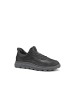 Geox Sneackers U in bunt