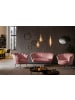 SalesFever Loungesessel im Muscheldesign Chromgestell in Goldoptik & Samtbezug in Rose