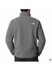 The North Face Glacier Fleece Jacket in Grau