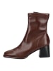 Steve Madden Stiefelette in Wine