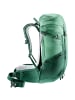 Deuter Futura 24 SL in Grün2010