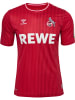 Hummel Hummel T-Shirt 1Fck 23/24 Fußball Erwachsene Schnelltrocknend in TRUE RED