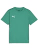 Puma T-Shirt "TeamGoal Jersey Jr" in Grün