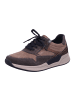 Gabor Comfort Damen- Schnürschuhe Sneaker low in Braun