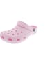 Crocs Classic Clog Clogs Rosa