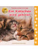 Fischer-Nagel Buch - Ein Kätzchen wird geboren