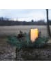 STAR Trading LED Tannengesteck ,Serene' mit LED Kerze, Batterie und Timer, Lichtsen