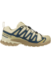 SALOMON Laufschuhe XA PRO 3D V9 GTX in creme