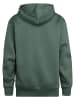 Petrol Industries Logo Hoodie Ozark in Grün