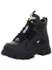 Buffalo Stiefeletten in schwarz