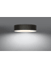 Nice Lamps Deckenleuchte HERRA 50 in schwarz (L)50cm (B)50cm (H)16cm