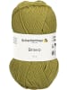 Schachenmayr since 1822 Handstrickgarne Bravo, 50g in Grashuepfer