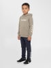Hummel Kapuzenpullover Hmljr Logo Lebensstil Kinder in ROCK RIDGE