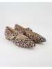 Paul Green Ballerinas in Braun