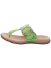 Gabor Klassische Pantolette in grün